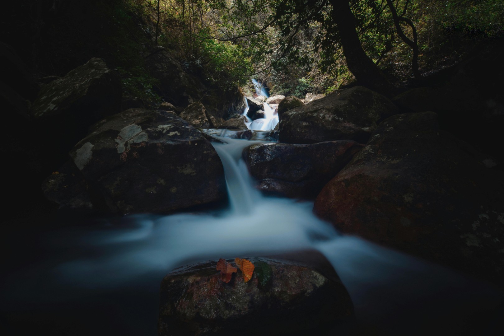 Water running over rocks in a forest creek